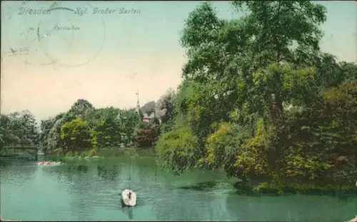 Großer Garten-Dresden Carolasee im Königlichen Großen Garten 1909