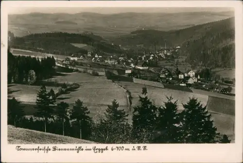 Ansichtskarte Rechenberg-Bienenmühle Panoramablick auf die Sommerfrische 1942