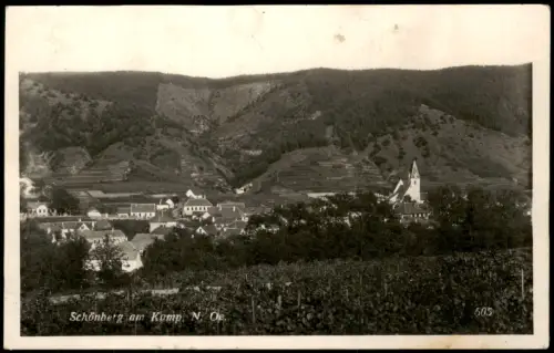 Schönberg am Kamp Ortsansicht mit Pfarrkirche und Weinbergen 1959