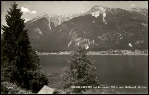 Ansichtskarte Hermagor-Pressegger See Blick über den See zum Berg 1962