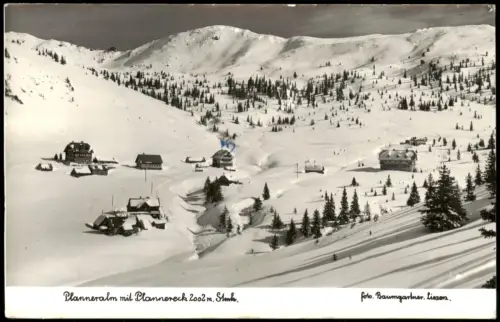 Ansichtskarte Donnersbach Planneralm mit Plannereck 1959