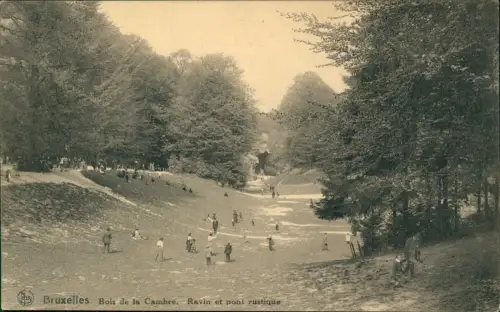 Brüssel Bruxelles Bois de la Cambre. Ravin et pont rustique 1914