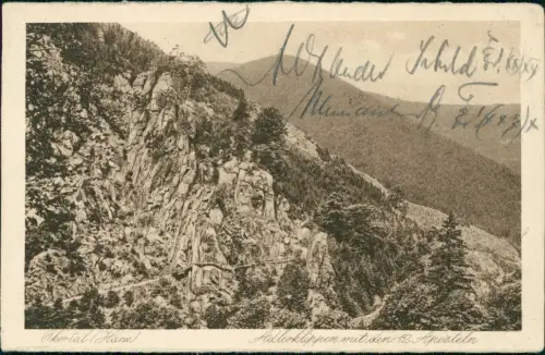 Ansichtskarte Oker-Goslar Okertal Adlersklippen 12 Apopstel 1924