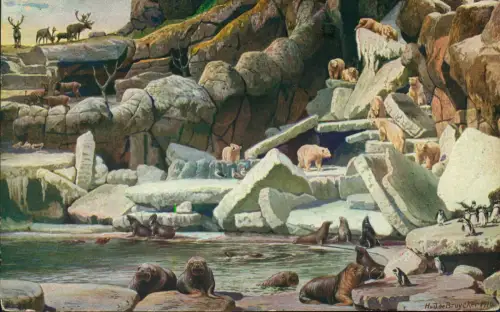 Stellingen-Hamburg Tierpark Hagenbeck Nordland-Panorama mit Eisbären 1911