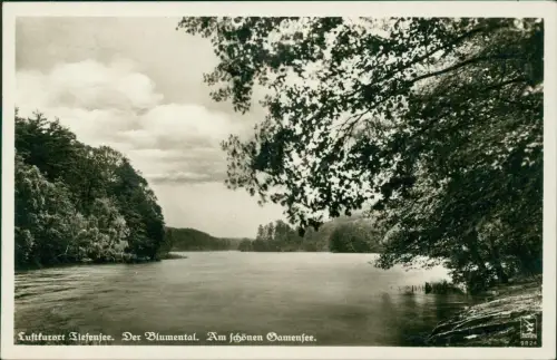 Ansichtskarte Tiefensee-Werneuchen Der Blumental. Am schönen Gamensee 1937