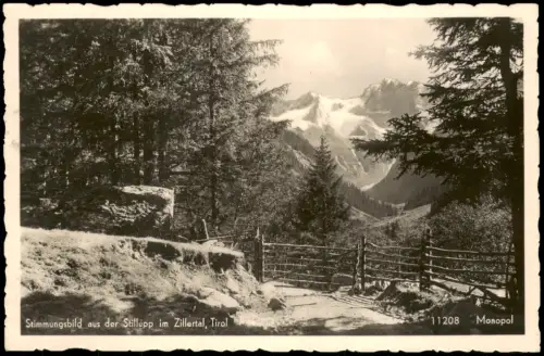 Ansichtskarte Mayrhofen Blick in das Stillupptal im Zillertal 1955