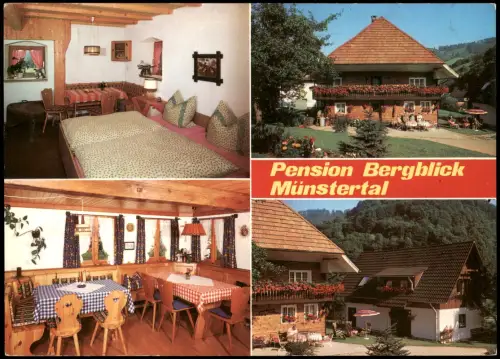 Münstertal Schwarzwald Pension Bergblick mit Innenansichten (Mehrbild-AK) 1986