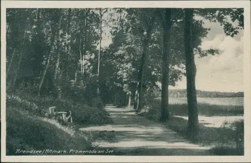 Ansichtskarte Arendsee (Altmark) Promenade am See 1940