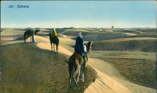 Postcard Biskra بسكرة Biskira Sahara Beduinen Kamele 1913