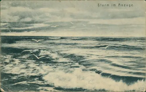 Ansichtskarte .Mecklenburg-Vorpommern Ostsee Baltic Sea Sturm im Anzuge. 1908  Stempel Rewal Greiffenberg