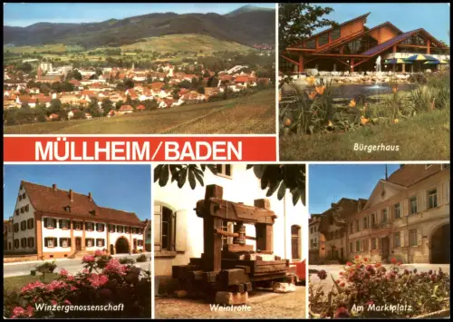 Müllheim Baden MB mit Winzergenossenschaft Bürgerhaus Weintrotte 1970