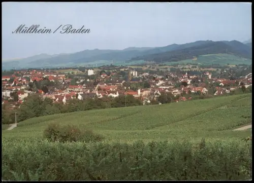 Ansichtskarte Müllheim (Baden) Panorama Ortsansicht 1980