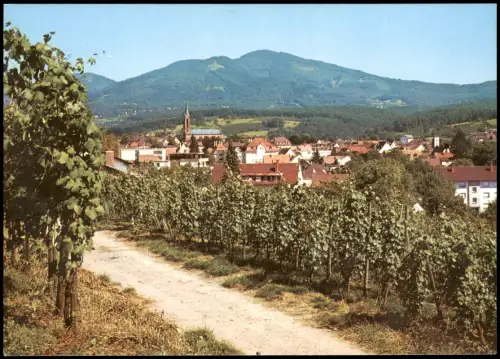 Ansichtskarte Müllheim (Baden) Panorama-Ansicht von den Weinbergen aus 1975
