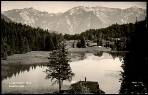 Ansichtskarte Vorderstoder Schafferteich mit Bergen im Hintergrund 1959