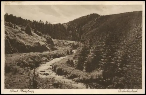 Ansichtskarte Bad Harzburg Tiefenbachtal bei Bad Harzburg 1934