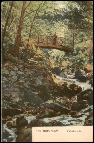 Bad Harzburg Riefenbachstal mit Holzbrücke über einen Bergbach 1913