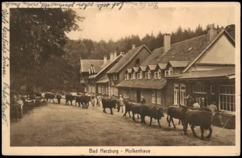 Ansichtskarte Bad Harzburg Waldgaststätte Molkenhaus mit Viehtrieb 1931
