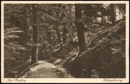 Ansichtskarte Bad Harzburg Philosophenweg 1934