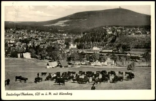 Ansichtskarte Braunlage Panorama-Ansicht, Oberharz, Blick Wurmberg 1957