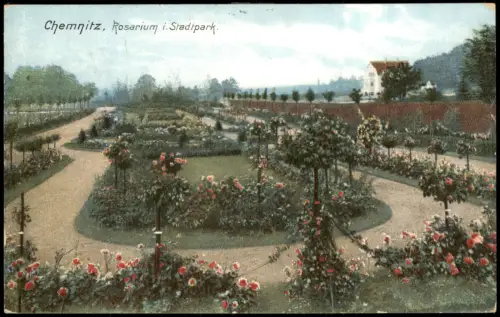 Ansichtskarte Chemnitz Rosarium i. Stadtpark 1908