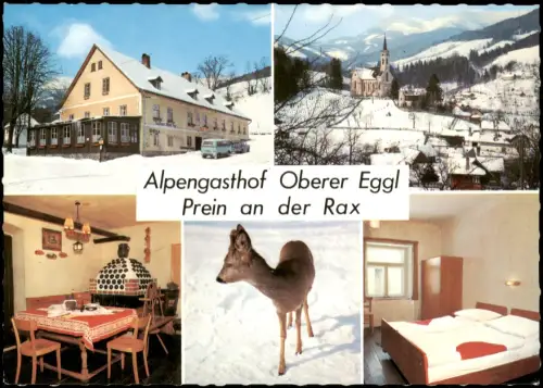 Reichenau an der Rax Alpengasthof Oberer Eggl Mehrbildkarte Innenansichten 1972