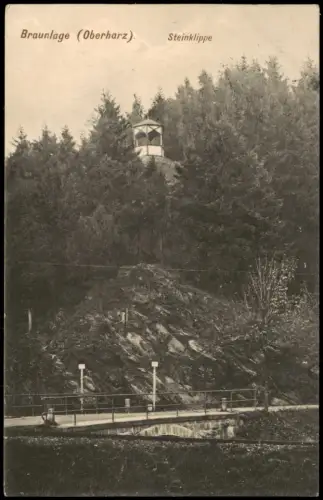 Ansichtskarte Braunlage Steinklippe mit Pavillon 1908