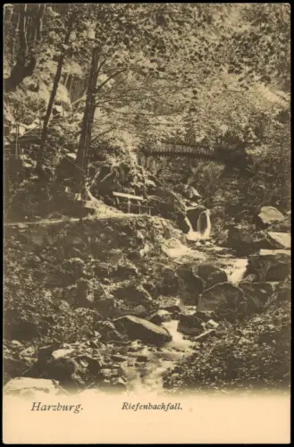 Ansichtskarte Bad Harzburg Riefenbachfall 1909
