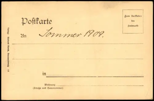 Ansichtskarte Bad Harzburg Riefenbachfall 1909
