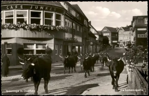 Ansichtskarte Braunlage Kuhherde 'Die Damenkapelle' vor dem Café Junker 1958