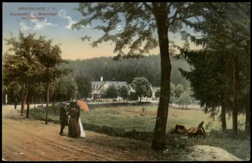 Ansichtskarte Braunlage Waldmühle und Menschengruppe 1910