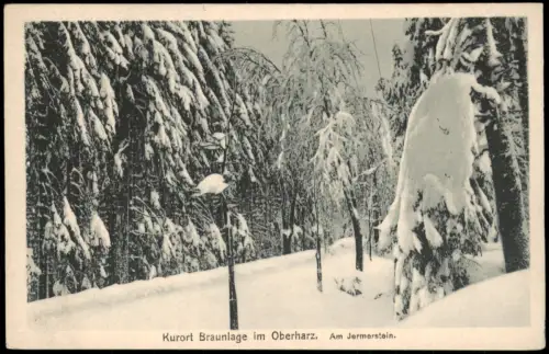Ansichtskarte Braunlage Winterwald am Jermerstein 1920