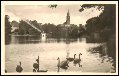 Neugersdorf Schwanenteich mit Schwänen und Blick auf die Kirche 1935