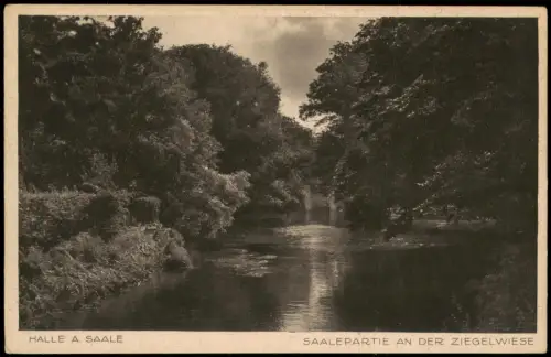 Ansichtskarte Halle (Saale) Saalepartie an der Ziegelwiese 1930