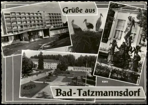 Ansichtskarte Tatzmannsdorf Mehrbildkarte mit Kurpark und Kurhotel 1970
