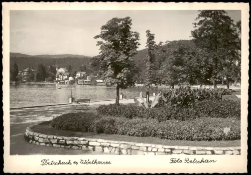 Pörtschach am Wörther See Uferpromenade mit Parkanlage und Seeblick 1957