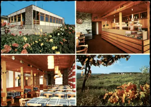 Eisenberg an der Pinka Mehrbildkarte Gasthaus Graf Terrasse Weingarten 1972