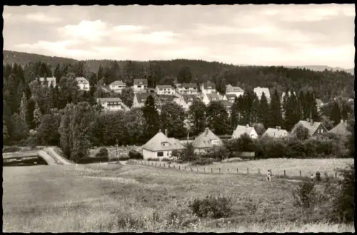 Bad Sachsa Ortsansicht mit Wohnhäusern am Hang und Wiesenlandschaft 1960