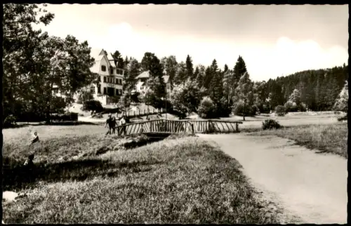 Ansichtskarte Bad Sachsa Haus Georgi mit Park und Holzbrücke 1955