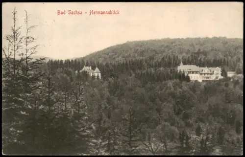 Ansichtskarte Bad Sachsa Blick auf den Hermannsblick mit Villen 1914