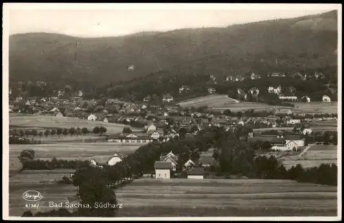 Ansichtskarte Bad Sachsa Panorama-Ortsansicht 1932