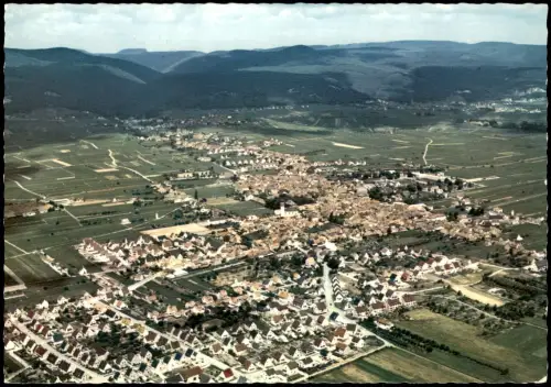 Mussbach Mußbach Neustadt  Weinstraße  Luftbild Mussbach  Ansichtskarte 1965