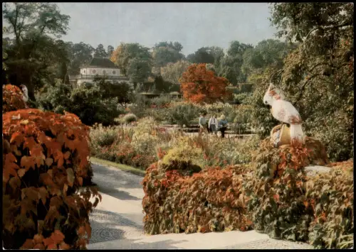 München Botanischer Garten Nymphenburg Blick über den Schmuckhof 1965