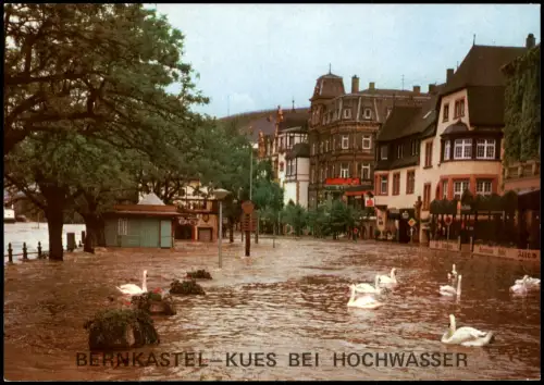 Ansichtskarte Bernkastel/Mosel Moselufer bei Hochwasser 1995