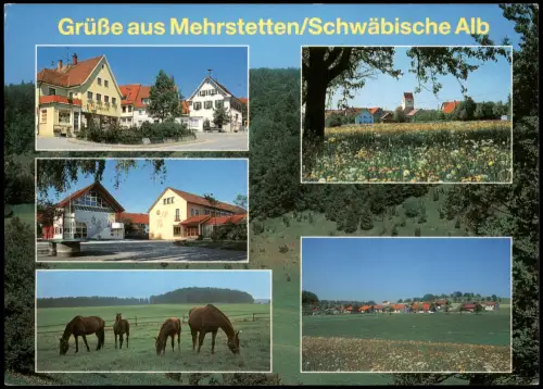 Mehrstetten MB Ortsansichten Grüße aus Mehrstetten Schwäbische Alb 1980