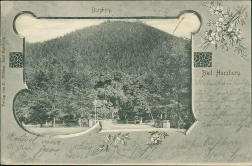 Ansichtskarte Bad Harzburg Burgberg 3D Effekt Rahmen 1907 Passepartout