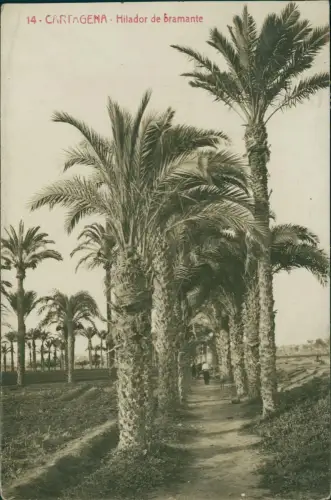 Postale Cartagena (Spanien) Hilador de bramante 1911