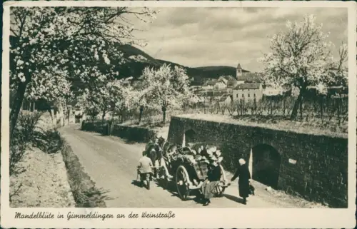 Gimmeldingen Neustadt  Weinstraße Strasse zur Mandelblüte Pferdefuhrwerk 1939