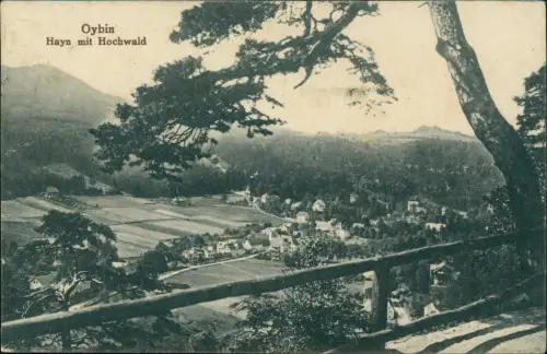Ansichtskarte Hain-Oybin Hayn mit Hochwald 1924