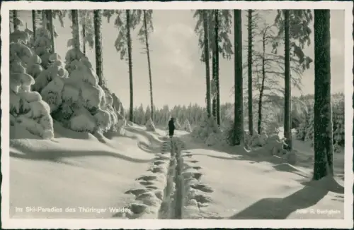 Ansichtskarte .Thüringen Thüringer Wald im Winter Skiläufer 1941