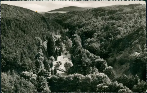 Ansichtskarte Bad Wildungen Helenental 1958